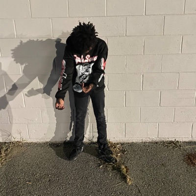 WARNING (feat. BDGBABY3) - Single