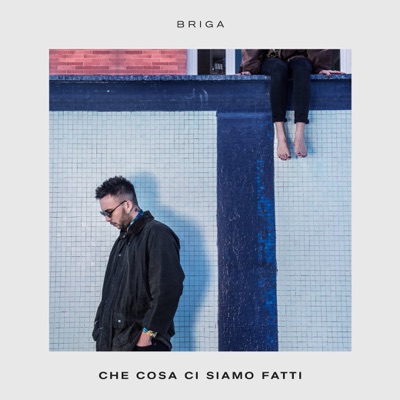 Che cosa ci siamo fatti