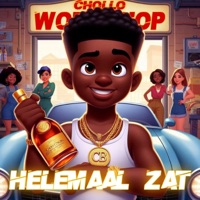 Helemaal Zat - Single - Chollo