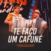 Te Faço um Cafuné - Single - Chambinho do Acordeon & Fábio Carneirinho