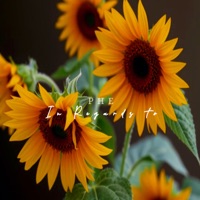 In Regards to - Single - PHE