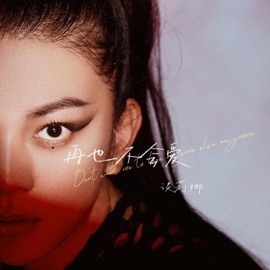 再也不会爱 (和声伴奏版) Tan Li Na