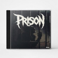 Prison - Single - Tarnished