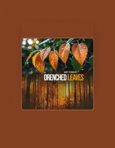 Listen to Wet Forest, watch music videos, read bio, see tour dates & more!