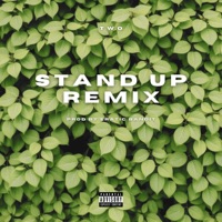 Stand Up (Eratic Bandit Remix) - Single - T.W.O
