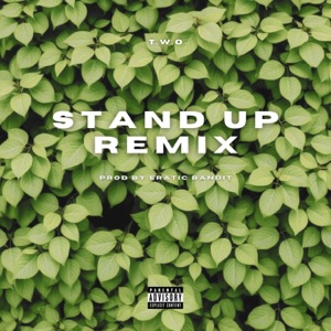 Stand Up (Eratic Bandit Remix)
