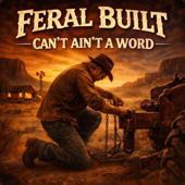 Can't Ain't a Word