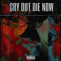 CRY OUT DIE NOW - Single - killzayxo