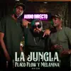 Flaco Flow y Melanina, Audio Directo & Arion - La Jungla