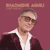 Shadmehr Aghili - Mamnoon