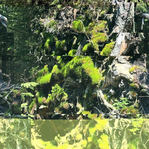 Schwarzwald - Single