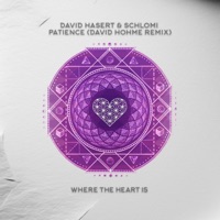 Patience (David Hohme Remix) - Single - David Hohme, David Hasert & Shlomi