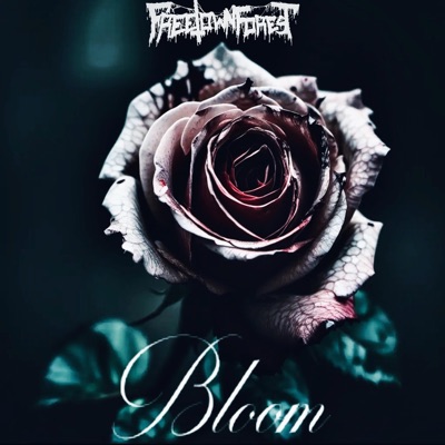 Bloom - Single