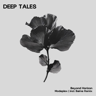 Beyond Horizon (Baime Remix) - Single