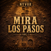 Más alto, más fuerte - Nyvor