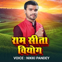 Ram Sita Viyog - Single - Nikki Pandey
