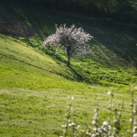 The Fragility of Hope - Single - ADBEEL