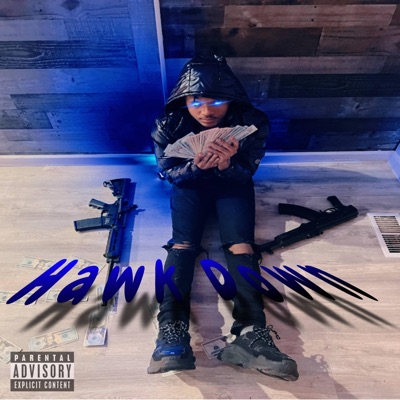 Hawk Down - Single