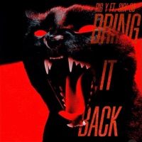 Bring It Back (feat. Sky 38) - Single - Big Y