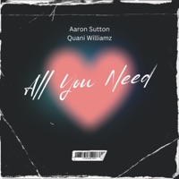All You Need (feat. Quani Williamz) - Single - Aaron Sutton