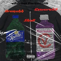Who Got Parked Pt2 (feat. Shab & Gswerv59) - Single - Drenxhh