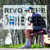 Rivo Rehe - Õnne Sees