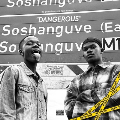 DANGEROUS (feat. Dimphowadiwave) - Single