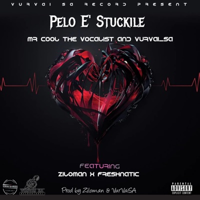 Pelo E' Stuckile (feat. VurVai_SA, Ziloman & Freshnatic) - Single