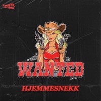 Wanted 2025 (Hjemmesnekk) [feat. Carrokline & Elkamino] - Single - Keiser Augustus, Marrern & Lil Lippa