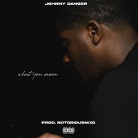 What You Mean - Single - Johnny Danger