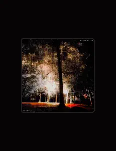 Listen to Style Drive, watch music videos, read bio, see tour dates & more!