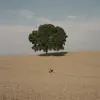 Vil du noget