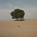 Vil du noget?
