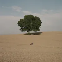 Vil du noget