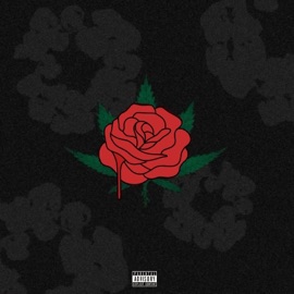 MARY JANE Flair the Phenom