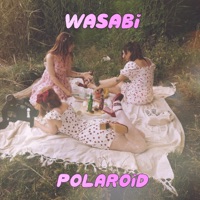 Polaroid