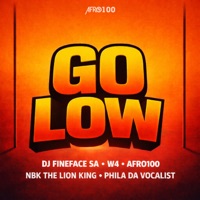 Go Low (feat. NBK the Lion King & Phila Da Vocalist) - Single - Dj Fineface SA, Afro100 & W4