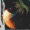 JÇÃo & Morgan Aiden - Under The Moon