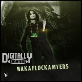 Da Block Hot (feat. CARTEL MGM & Lil Capp) Waka Flocka Flame