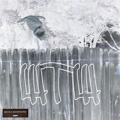 WTW (feat. HINANSHO) [HAV3N Remix] - Single