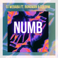 Numb (feat. RongMan & Ceezow) - Single - Dj Webaba