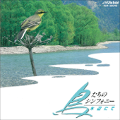 鳥たちのシンフォニー/日本の野鳥 - 水辺にて