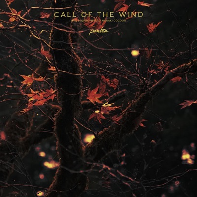 Call of the Wind (Native Flute) - Single