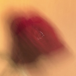 Rose - Single