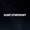 Bring Love (Rain) - Sleep Symphony lyrics