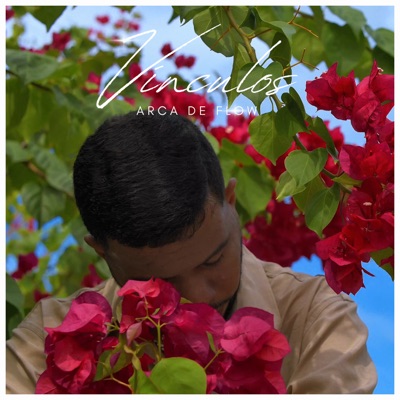 Vínculos - Single