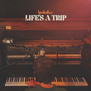 Life's a Trip - Single