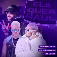 Ela quer Raul - Single - DJ Emerson 7K, Mc Lobão & ��o Jo��ozinhoo