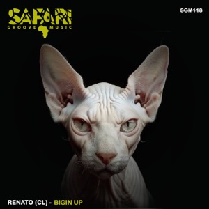 Bigin Up - Single
