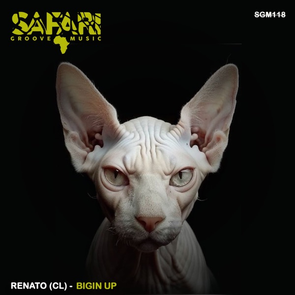 Bigin Up - Single